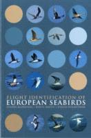 bokomslag Flight Identification of European Seabirds