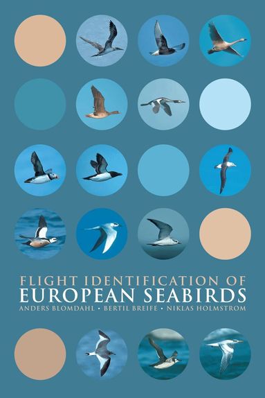 Anders Blomdahl, Bertil Breife, Niklas Holmstrom - Flight Identification of European Seabirds, Häftad
