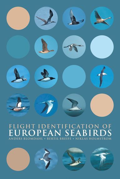 bokomslag Flight Identification of European Seabirds