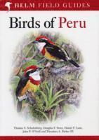 bokomslag Birds of Peru