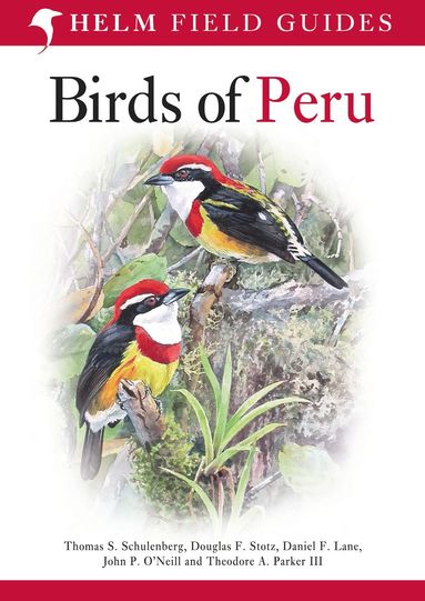 bokomslag Field Guide to Birds of Peru