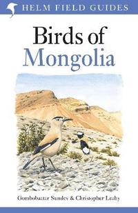 bokomslag Field Guide to the Birds of Mongolia