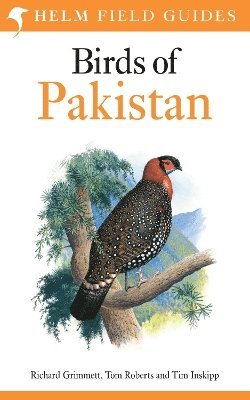 bokomslag Field Guide to Birds of Pakistan
