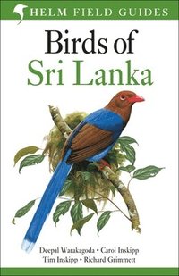 bokomslag Field Guide to Birds of Sri Lanka