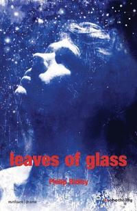 bokomslag Leaves of Glass
