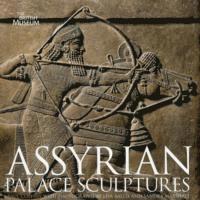 bokomslag Assyrian Palace Sculptures