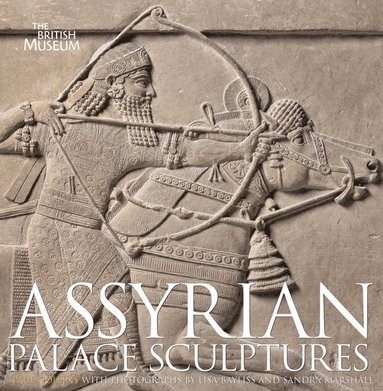 bokomslag Assyrian Palace Sculptures