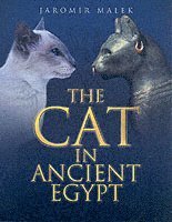 bokomslag The Cat in Ancient Egypt