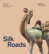 bokomslag Silk Roads