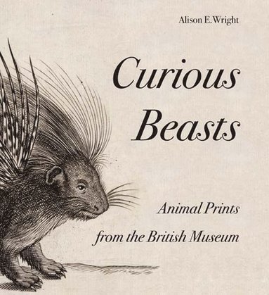 bokomslag Curious Beasts