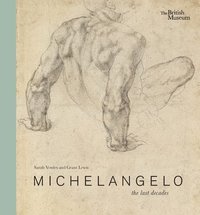 bokomslag Michelangelo: the last decades