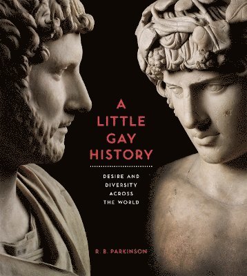 bokomslag A Little Gay History