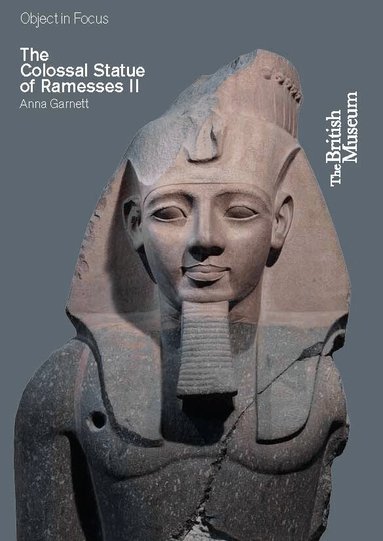Anna Garnett - Object in Focus: The Colossal Statue of Ramesses II, Häftad