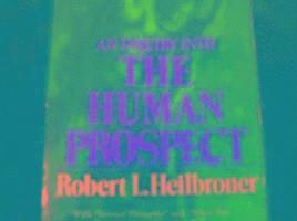 An Inquiry into the Human Prospect 1