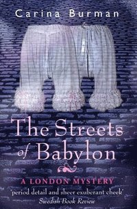 bokomslag The Streets of Babylon