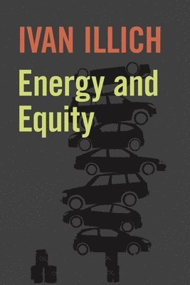 bokomslag Energy and Equity