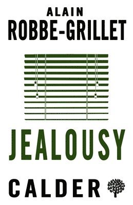bokomslag Jealousy