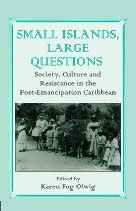 Karen Olwig, Karen Fog Olwig - Small Islands, Large Questions, Häftad