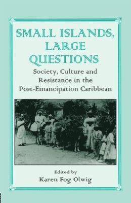 Karen Olwig, Karen Fog Olwig - Small Islands, Large Questions, Häftad