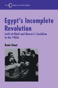 bokomslag Egypt's Incomplete Revolution