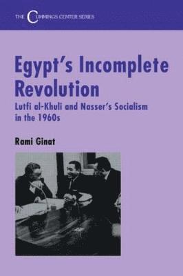 Egypt's Incomplete Revolution 1