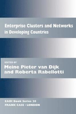 Enterprise Clusters and Networks in Developing Countries 1