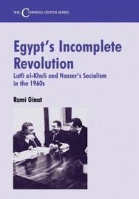 bokomslag Egypt's Incomplete Revolution