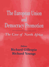 European Union And Democracy Promotion 1