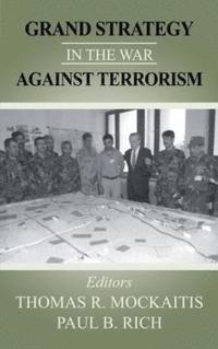 bokomslag Grand Strategy in the War Against Terrorism