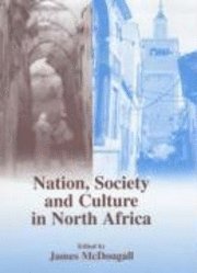 bokomslag Nation, Society And Culture In North Africa