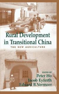 bokomslag Rural Development in Transitional China