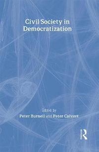 bokomslag Civil Society in Democratization