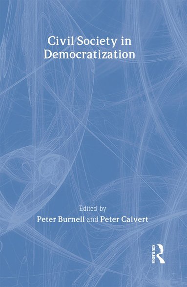 bokomslag Civil Society in Democratization