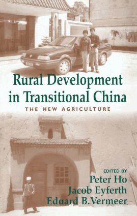 Jacob Eyferth, Peter Ho, Eduard Vermeer - Rural Development in Transitional China, Häftad