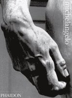 Michelangelo. Paintings, sculpture, architecture
