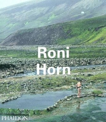 Lynne Cooke, Louise Neri, Thierry Duve - Roni Horn, Häftad