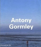 Eh Gombrich, John Hutchinson, Lela B Njatin, W J T Mitchell - Gombrich, E: Antony Gormley, Häftad