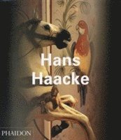 Molly Nesbit, Walter Grasskamp, Jon Bird - Nesbit, M: Hans Haacke, Häftad