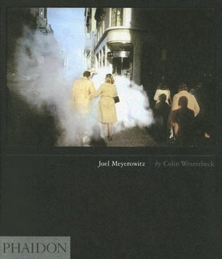 Joel Meyerowitz