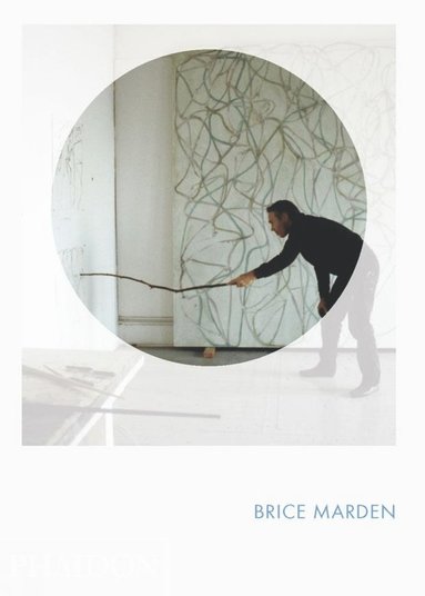 bokomslag Brice Marden