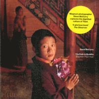 Robert Thurman - Path to Buddha, Häftad