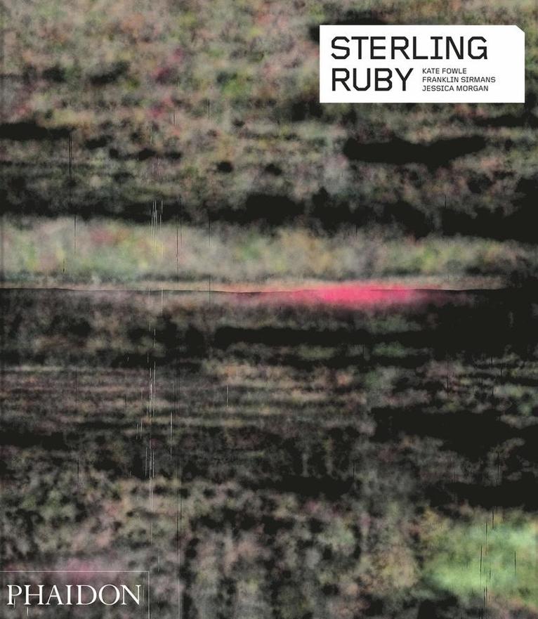 Kate Fowle, Franklin Sirmans, Jessica Morgan - Sterling Ruby, Häftad