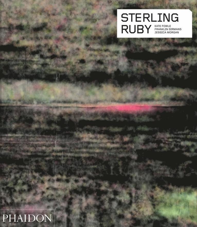 Sterling Ruby 1