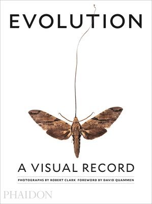 bokomslag Clark, R: Evolution