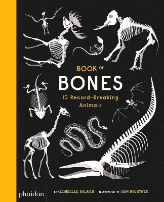 bokomslag Book of Bones