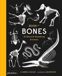 bokomslag Book of Bones