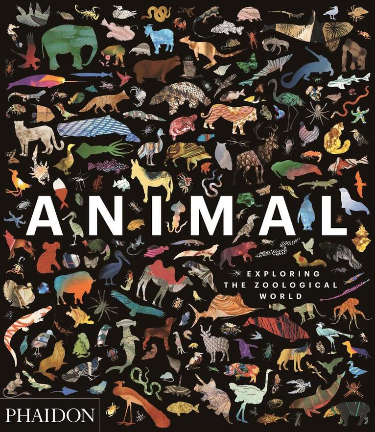 Phaidon Editors, Phaidon Editors - Animal, Inbunden
