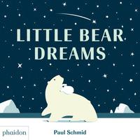 bokomslag Little Bear Dreams