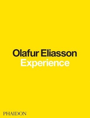 Olafur Eliasson: Experience 1