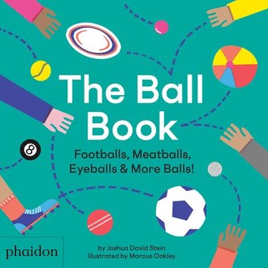 bokomslag The Ball Book